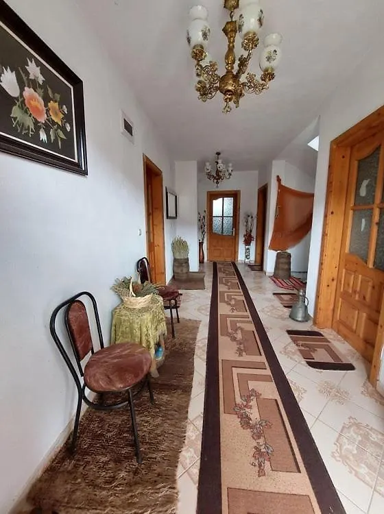 Gasthuis Prespa'S Balcony Guesthouse Dolna Gorica